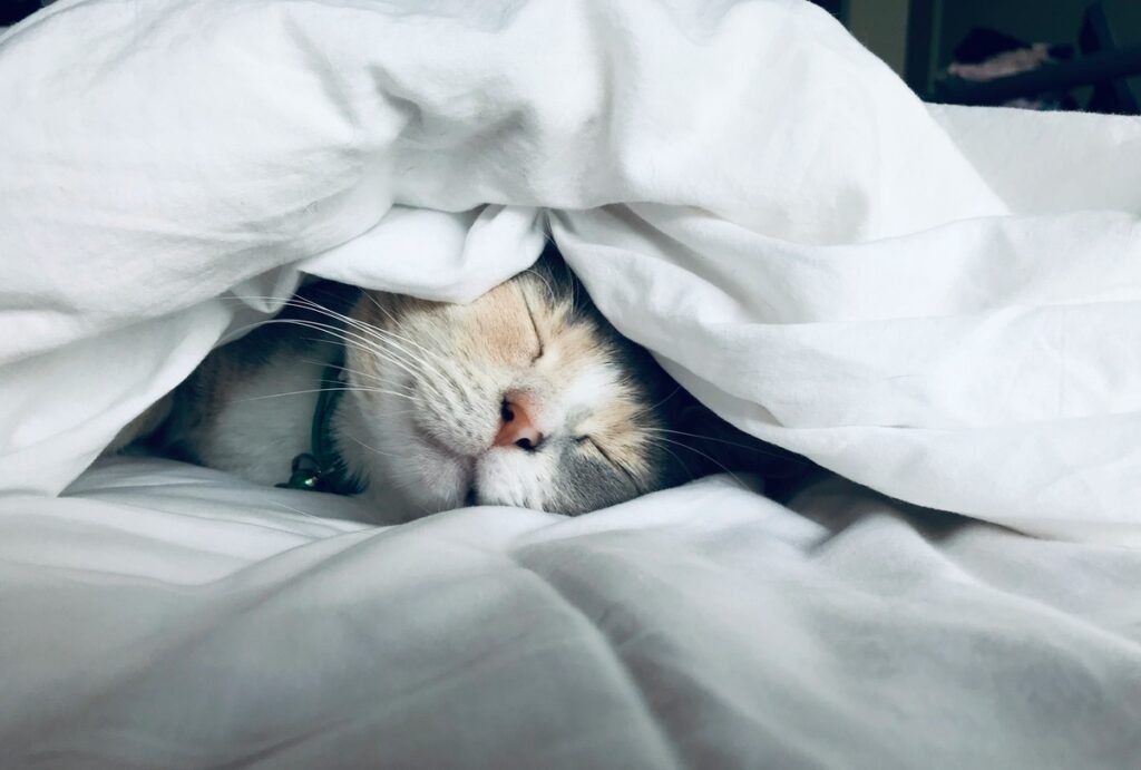 stress free sleeping